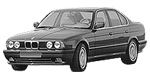 BMW E34 C0442 Fault Code